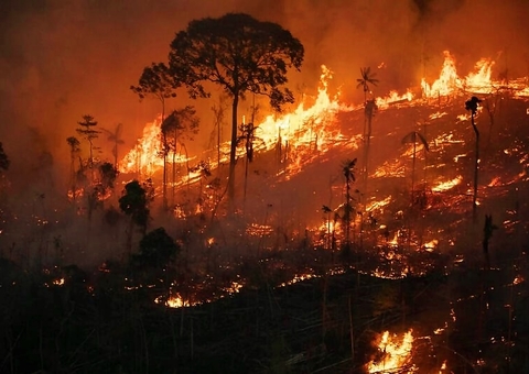 Estado em chamas: Amazonas bate recorde histórico de queimadas em setembro