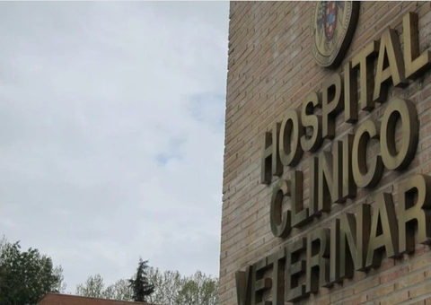 Funcionário é preso por abusar de cabra em hospital veterinário