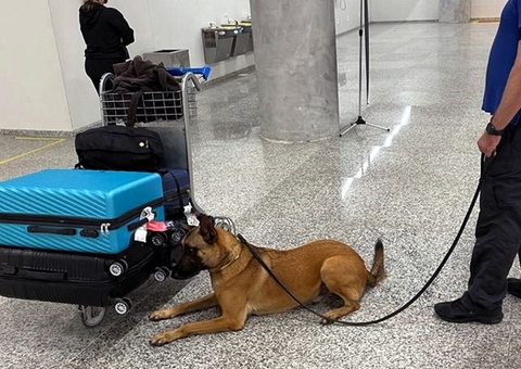 Mulheres são presas com mais de 50 kg de drogas no aeroporto