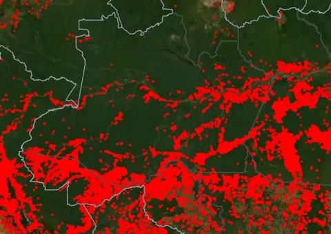 Amazonas tem aumento de mais de 200% em focos de calor, diz boletim