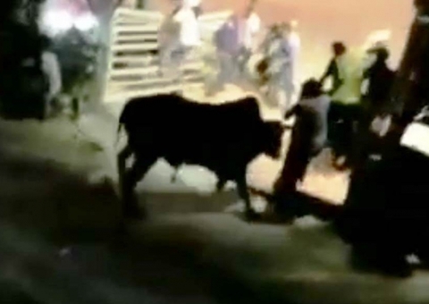 Vídeo: Boi invade arquibancada em rodeio e deixa 16 feridos