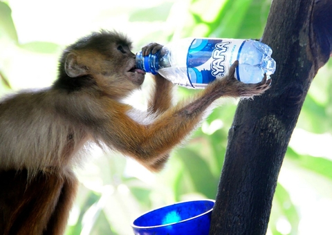 Mauro Smith leva exposição fotográfica 'Amazônia, Sentimentos e Percepções' ao Studio 5