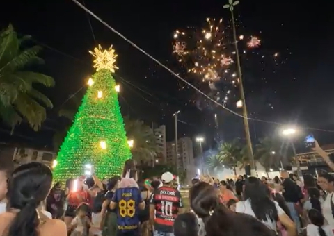 Árvore de Natal viva é inaugurada no CSU do Parque 10