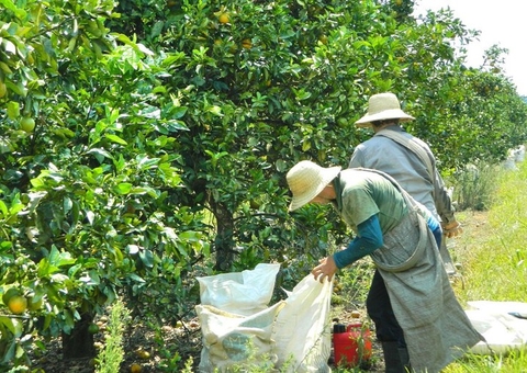 Laboratórios satélites serão instalados no Distrito Agropecuário da Suframa