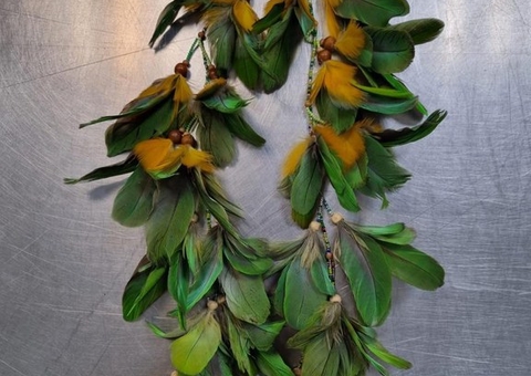 Ibama encontra adornos com penas de aves brasileiras em extinção em mala de passageira