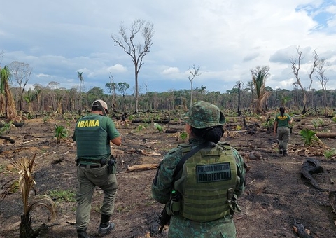 Ibama encontra 500 hectares de desmatamento ilegal em municípios do Amazonas