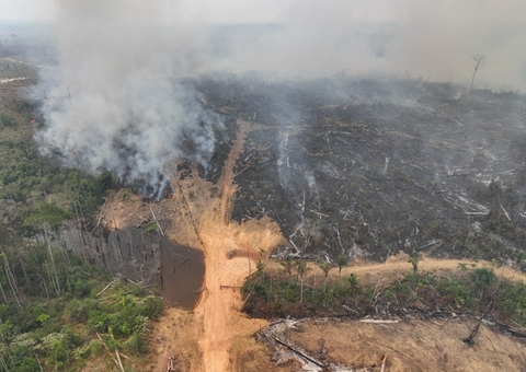 PF apreende retroescavadeiras e itens usados em desmatamento no Amazonas