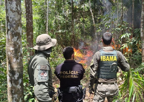 PF destrói aeronaves e oficina clandestina durante operação contra garimpo ilegal
