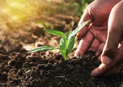 Garantia-Safra atenderá agricultores familiares do Amazonas