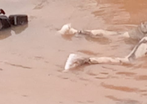 Corpo de homem é encontrado em rio no Amazonas   