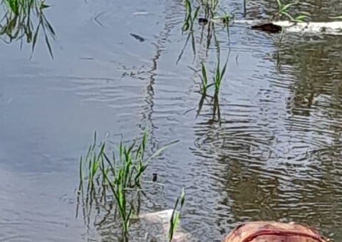 Com golpe nas costas, corpo de homem é encontrado boiando em rio no Amazonas