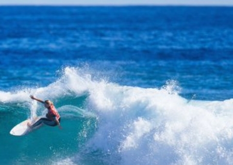 Surfista é acompanhada por golfinhos em onda e imagem impressiona