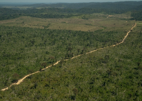 Laser mapeia e auxilia estudos sobre mortalidade de árvores na Amazônia