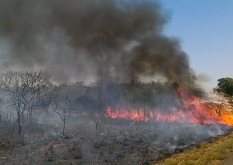 Amazônia tem setembro com maior número de queimadas desde 2010