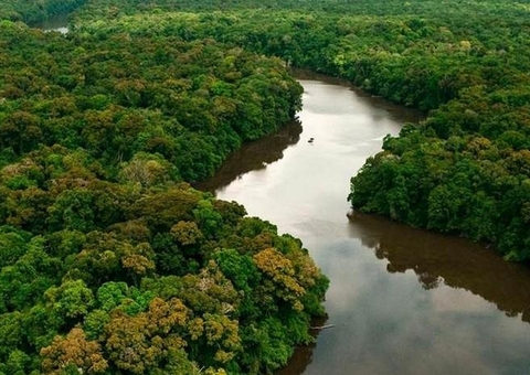 Congresso internacional em Manaus debate conexões entre saúde e biodiversidade na Amazônia
