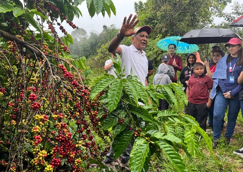 Agricultores da ASA comemoram primeira colheita de café no Amazonas