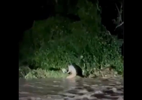 Motociclista é resgatado após ser arrastado por enxurrada durante chuva em Manaus 