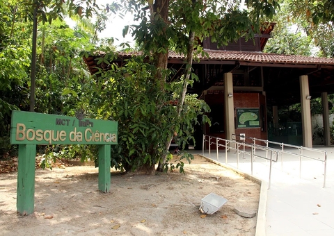Bosque da Ciência: Um Tesouro Verde do Nosso Turismo