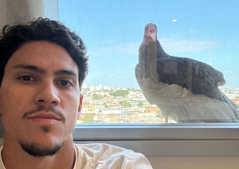No dia da estreia do Flamengo, Pedro é 'acordado' por urubu em hotel de Manaus