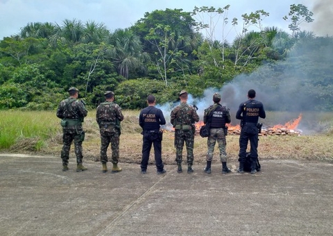 PF incinera mais de meia tonelada de maconha no Amazonas