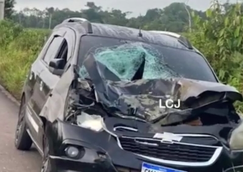 Estrada de Novo Remanso registra novo acidente com búfalo solto na pista