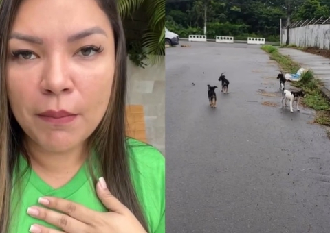 Filhotes de cachorro são abandonados por carro em Manaus e deputada denuncia; veja vídeo