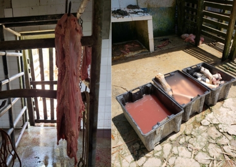 MP determina interdição de matadouro no interior do Amazonas 