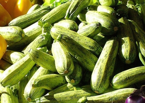 Abobrinha verde previne envelhecimento precoce e melhora humor