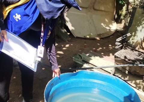 Manaus acumula mais de 500 casos de dengue e 36 de chikungunya