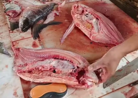 Homem morre após engasgar com espinha de peixe e engolir pedra no Ceará