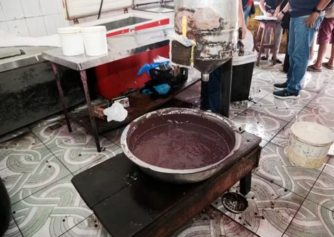 Peles e ossadas de animais são encontradas em loja de açaí no Centro