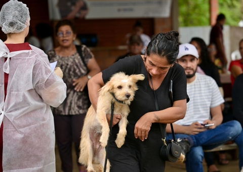 Mais de 800 animais são castrados durante ação em Iranduba