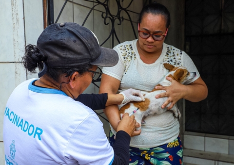 Vacinação antirrábica continua esta semana em Manaus; veja localidades