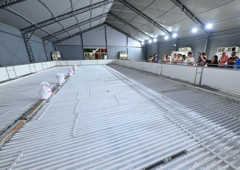 Decoração natalina na Ponta Negra terá pista de patinação no gelo 