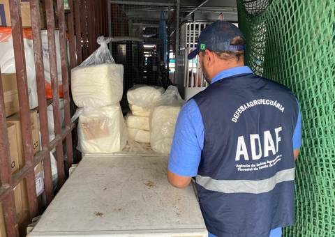 Fiscalização apreende 85 quilos de queijo clandestino no porto de Tefé