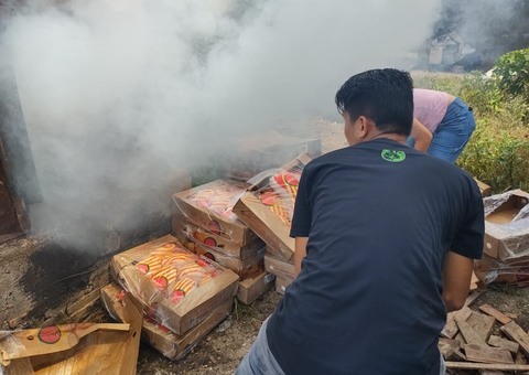 850 quilos de frango com risco de contaminação são apreendidos no Amazonas