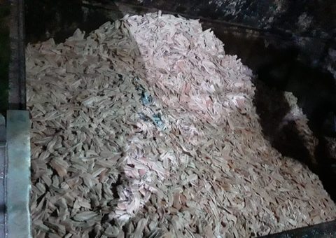 Toneladas de pescado são apreendidas por apresentarem risco à saúde no Amazonas