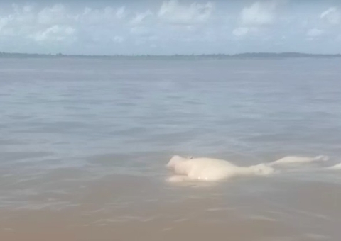 Devorado por peixes, corpo de homem é achado boiando no rio em Manacapuru