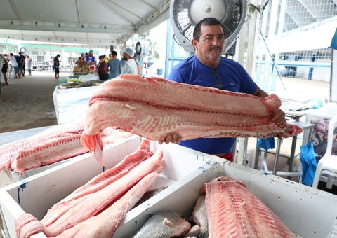 Mais de 100 toneladas de peixe serão ofertadas no 'Feirão do Pescado' em Manaus