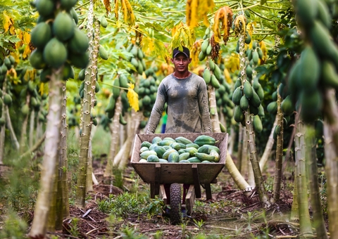 ADS divulga listas dos credenciados aos programas Preme e Promove 2024