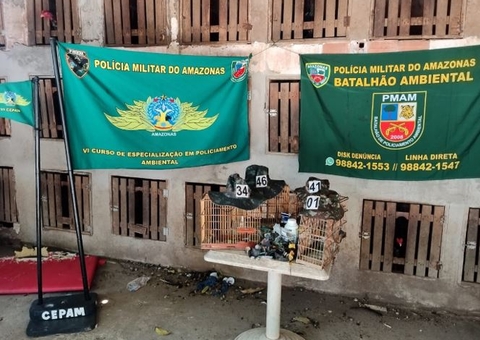 Homens são presos e 92 animais usados em rinhas são resgatados em Manaus