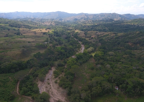 Deputados pedem por medidas para evitar queimadas na Amazônia e Pantanal