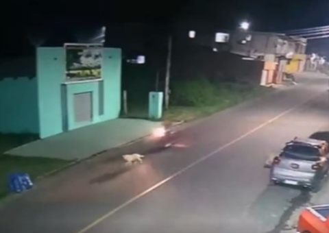 Vídeo: Adolescentes ficam feridos após moto atropelar cachorro em Itacoatiara