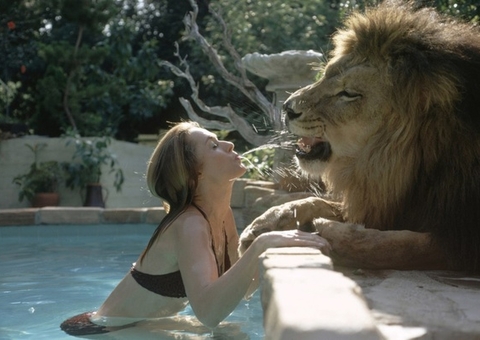 Homens e Feras: Família conviveu com leões dentro de casa para fazer filme