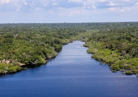 Há mil anos, indígenas da Amazônia combinavam plantio de milho e criação de patos