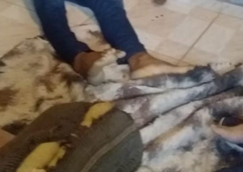 Casal é encontrado morto dentro de casa em Manaus