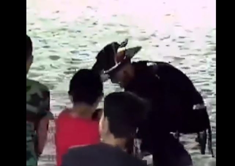 Luisa Mell posta vídeo de TikToker Agenor e dispara: 'Não chamem ele de protetor de animais'