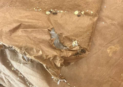 Mais de 7 toneladas de alimentos vencidos e contaminados são apreendidos no Centro de Manaus