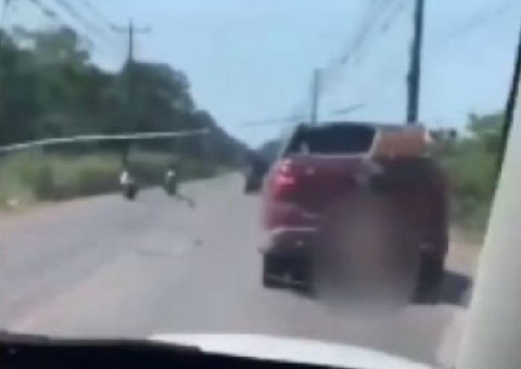 Cadela grávida morre enforcada em carroceria de caminhonete no Amazonas