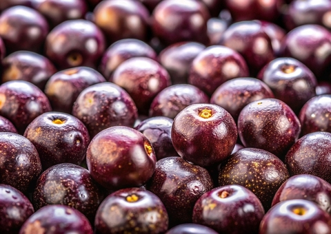 COP30 proíbe venda de maniçoba e açaí in natura nos restaurantes do evento em Belém